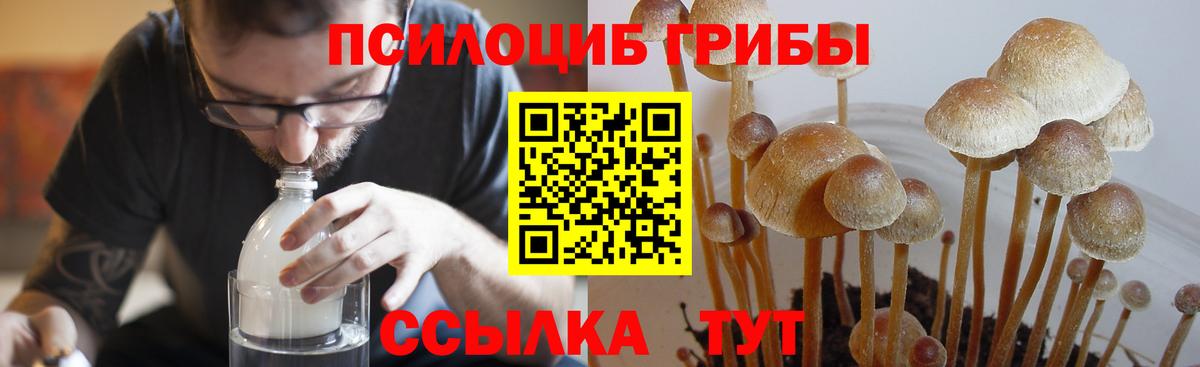 Нефтеюганск  Галлюциногенные грибы Psilocybe  Вход с VPN 